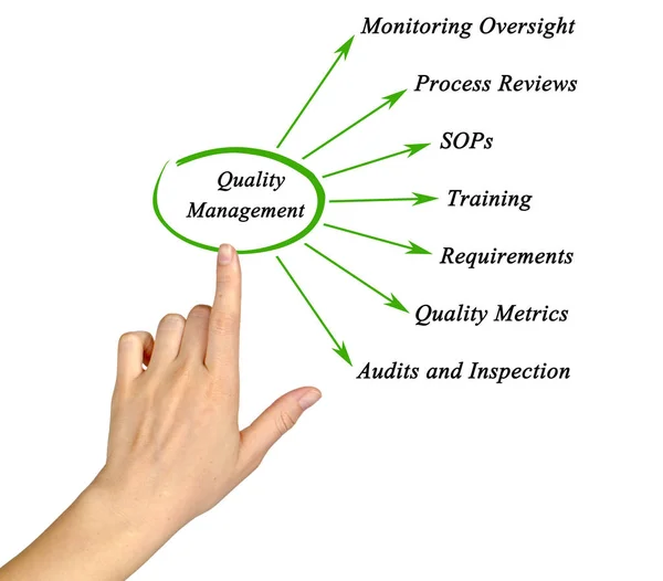 Kvinnan presenterar kvalitet Management komponenter — Stockfoto