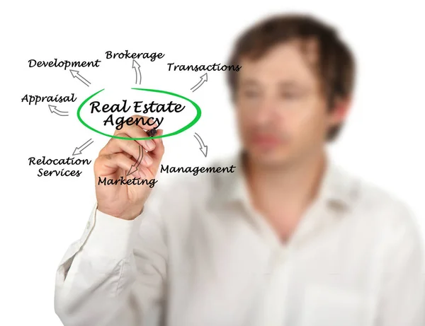 Real Estate Agent feladatai — Stock Fotó