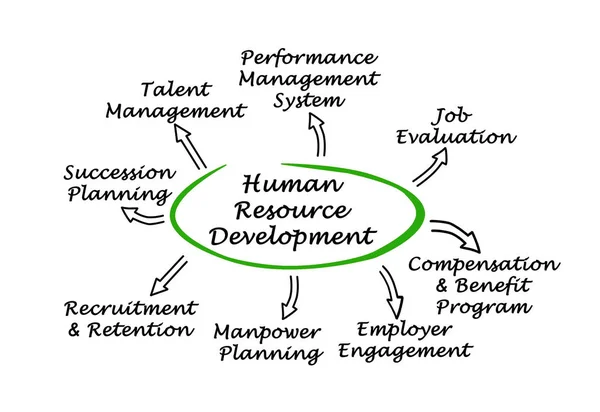 Components of Human Resource Development