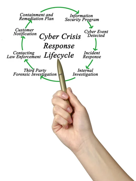 Cyber Crisis Response Cycle Vie — Photo