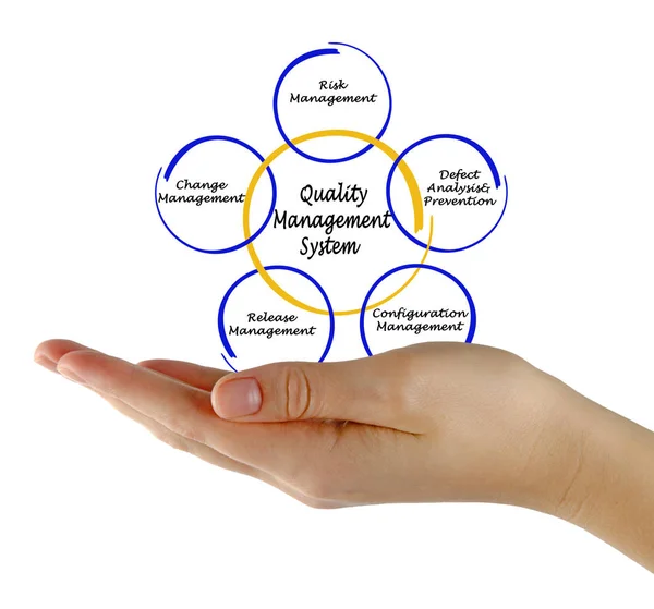 Vrouw presentatie van Quality Management System — Stockfoto