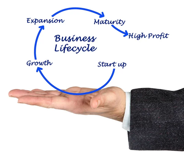 Schemat cyklu życia firmy — Zdjęcie stockowe
