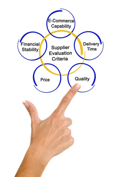 Vrouw presentatie van leverancier evaluatiecriteria — Stockfoto