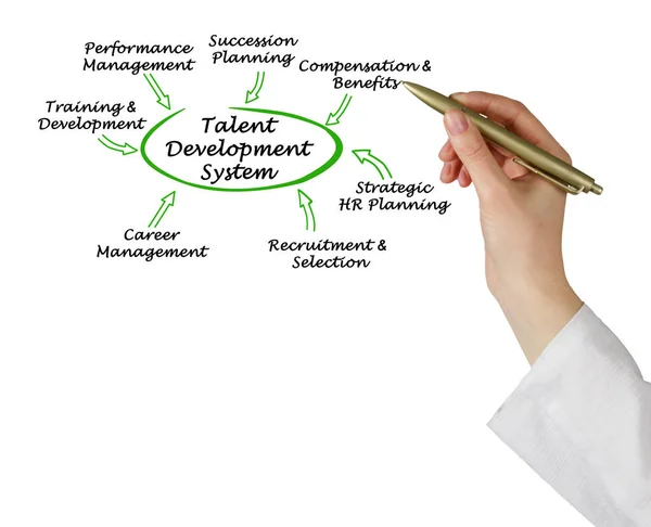 Onderdelen van Talent Development System — Stockfoto