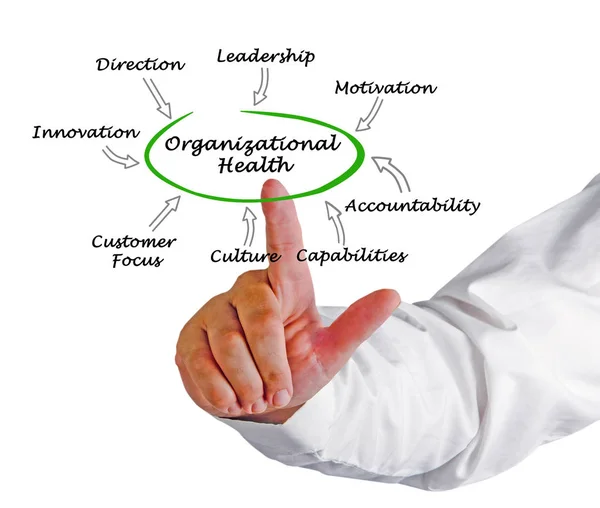 Diagram of Organizational Health — Stock Photo, Image