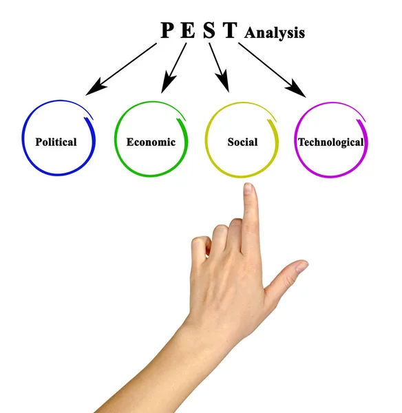 Onderdelen van Pest analyse — Stockfoto