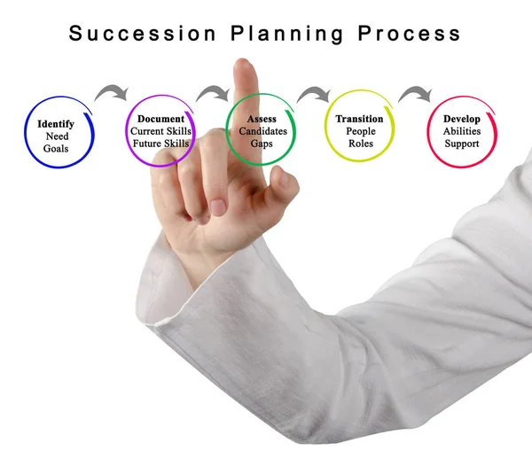 Componentes del proceso de planificación de sucesiones — Foto de Stock