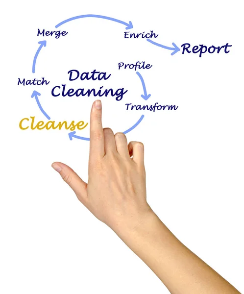 Components of  Data Cleaning process