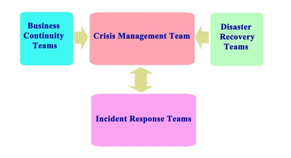 Interactions of Crisis Management Team