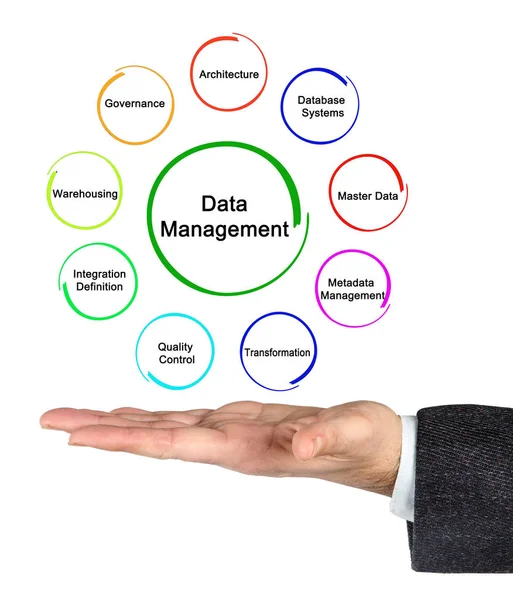 Nine components of Data Management — Stock Photo, Image