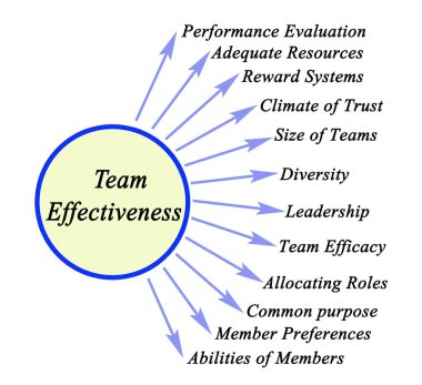 Takım Etkinliğinin On İki Sürücüsü