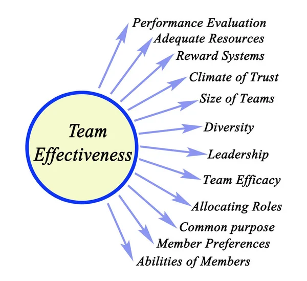 Twelve Drivers of Team Effectiveness — Stock Photo, Image