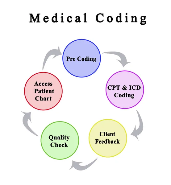 Cinco componentes de la codificación médica — Foto de Stock