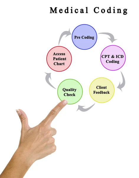 Cinco componentes de la codificación médica — Foto de Stock
