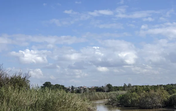 Rio Alexandre em Israel na Primavera — Fotografia de Stock
