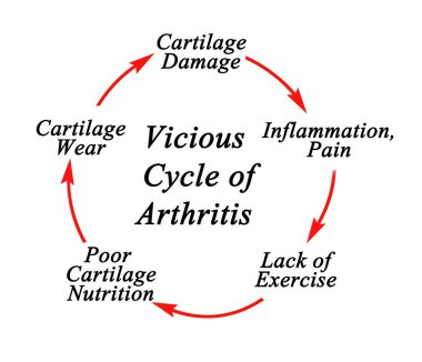 Vicious Cycle of Arthritis 'teki Adımlar
