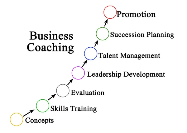 Sette componenti del Business Coaching — Foto Stock