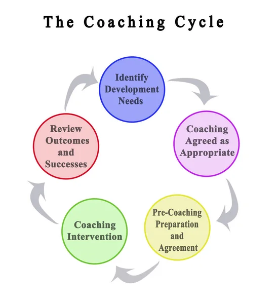 Cinque componenti del Ciclo di Coaching — Foto Stock