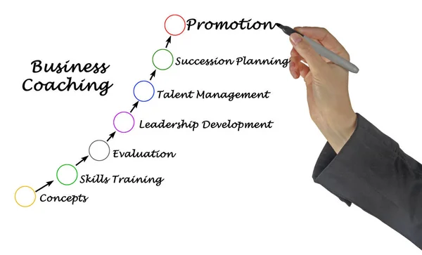 Seven components of Business Coaching — Stock Photo, Image