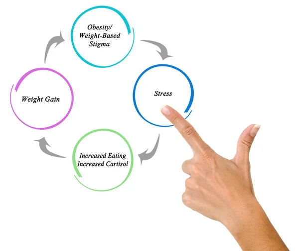 Cycle of Obesity / Weight-Based Stigma — Stock Photo, Image