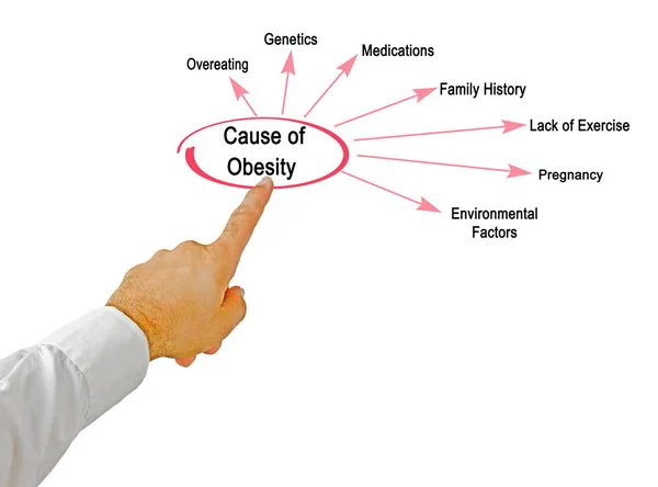 लठ्ठपणाची सात कारणे सादर करणे — स्टॉक फोटो, इमेज