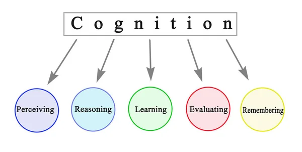 Fem komponenter i kognition — Stockfoto
