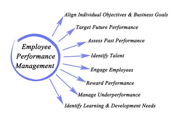 Components Employee Performance Management — Stock Photo, Image