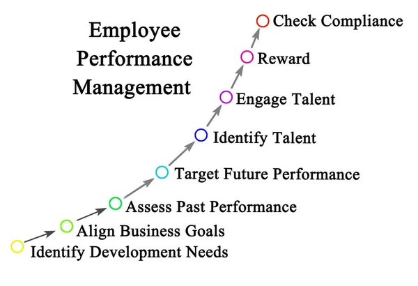 Components of Employee Performance Management