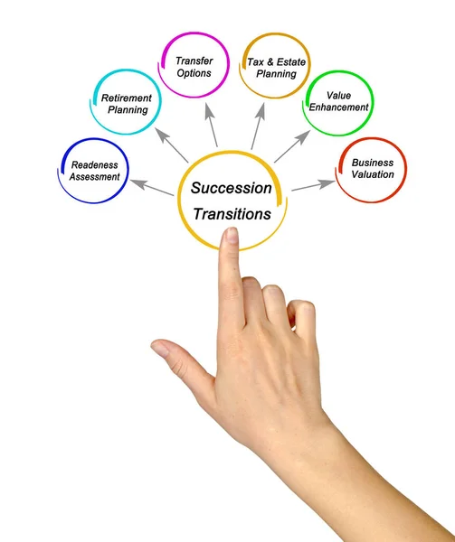 Vijf Componenten Van Successietransities — Stockfoto