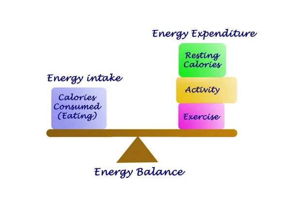 Equilíbrio Entre Ingestão Energia Despesas Energéticas — Fotografia de Stock