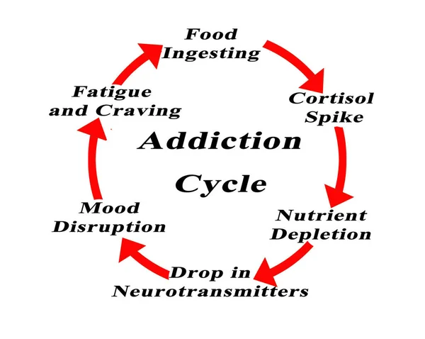 Six Components Addiction Cycle — Stock Photo, Image