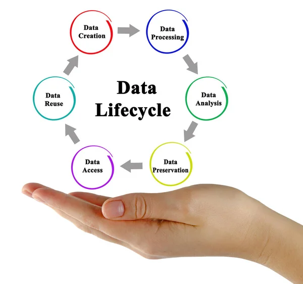 Stadien Des Datenlebenszyklus — Stockfoto