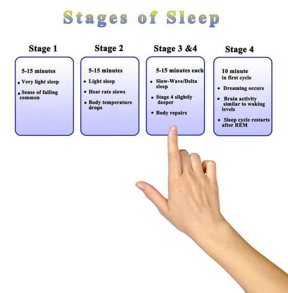 Four Stage Night Sleep — Stock Photo, Image
