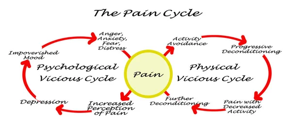 Ciclo Del Dolor Fisiología Psicología — Foto de Stock