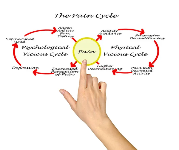 Ciclo Dor Fisiolgia Psicoterapia — Fotografia de Stock