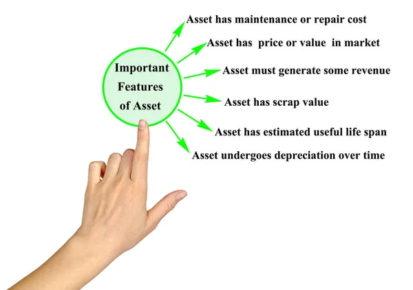 Zes Belangrijke Kenmerken Van Asset — Stockfoto
