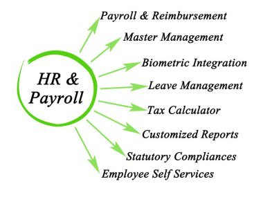 İnsan kaynakları yönetiminin sekiz işlevi