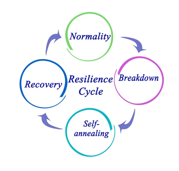 Four Components Resilience Cycle — Stock Photo, Image