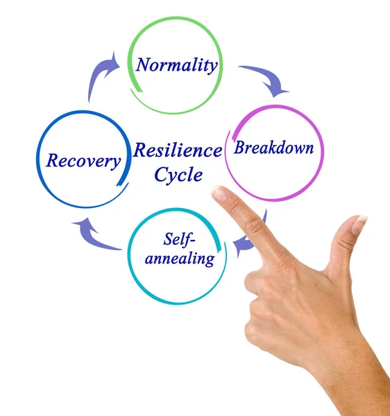 Four Components Resilience Cycle — Stock Photo, Image