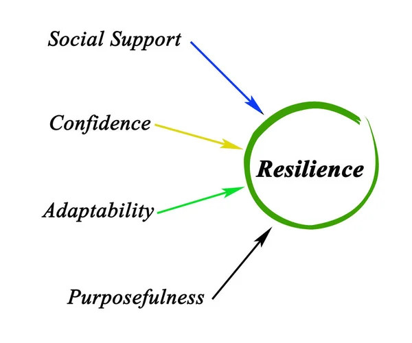 Resilience Stock Photos, Royalty Free Resilience Images | Depositphotos