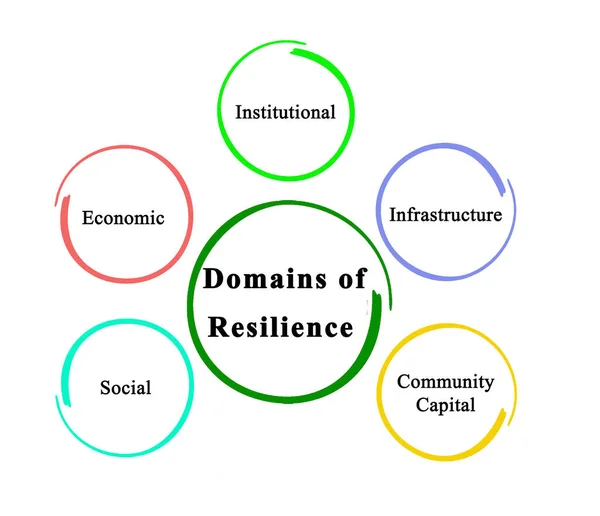 レジリエンスの5つの領域 — ストック写真