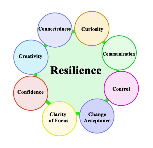 Eight Factors Supporting Development Resilience — Stock Photo, Image