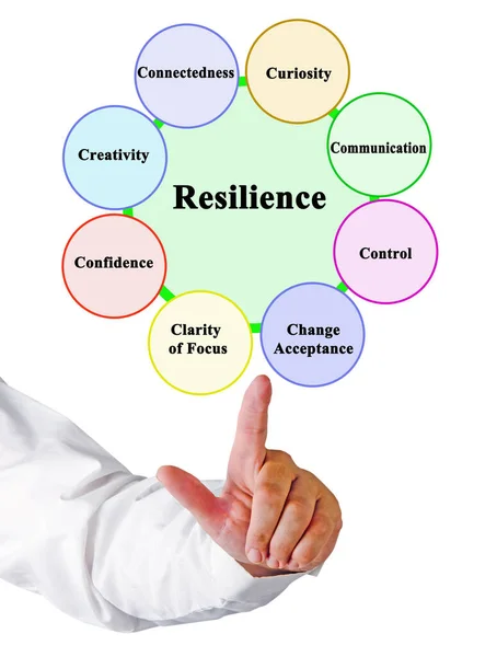 Ocho Factores Que Apoyan Desarrollo Resiliencia — Foto de Stock