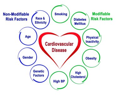 Non-Modifiable and Modifiable Risk Factors for Cardiovascular Disease clipart
