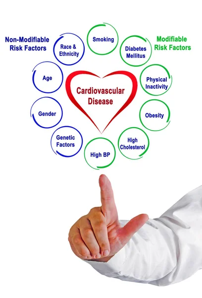 Fatores Risco Não Modificáveis Modificáveis Para Doenças Cardiovasculares — Fotografia de Stock