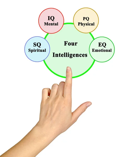 Négyféle Intelligencia Bemutatása — Stock Fotó