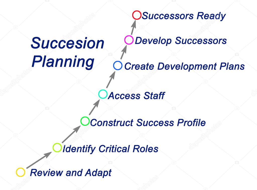 Seven components of Succesion Planning