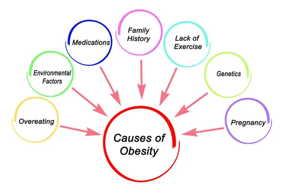 Seven Causes Obesity — Stock Photo, Image
