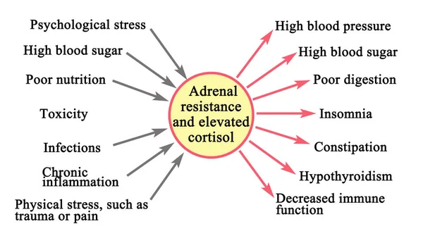 Resistencia Suprarrenal Cortisol Elevado — Foto de Stock