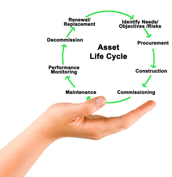 Bestandteile Des Lebenszyklus Von Vermögenswerten — Stockfoto
